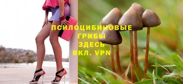 прущая мука Пролетарск