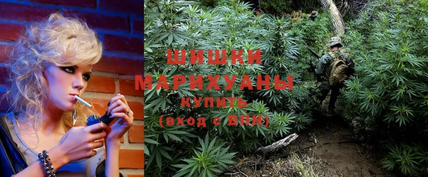 PSILOCYBIN Абаза