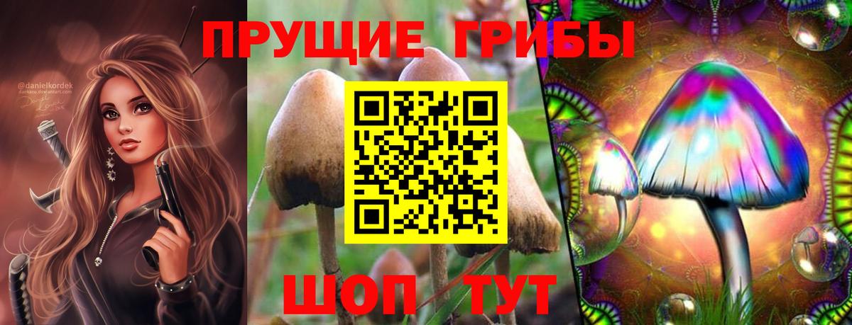 Псилоцибиновые грибы прущие грибы Ипатово
